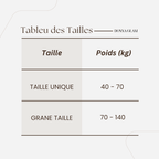 Collants Transparents Taille Haute – Effet Invisible et Confort Optimal, Parfaits pour le Quotidien et les Soirées